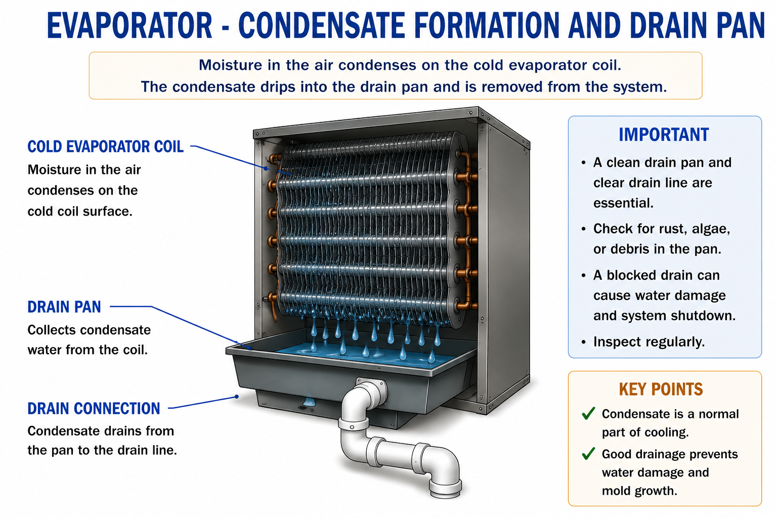 Evaporator coil showing moisture condensing on the coil surface, flowing into a condensate pan, and leaving through the drain connection.