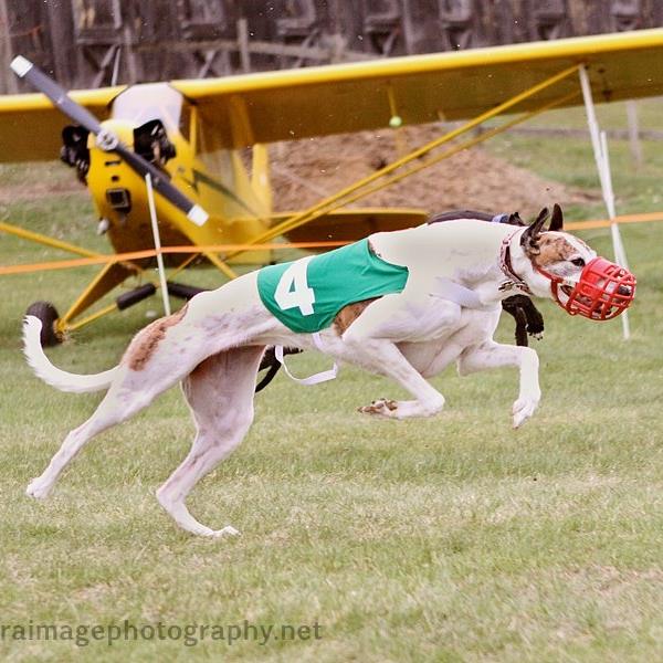 Mindy racing LRGA in New Hampshire