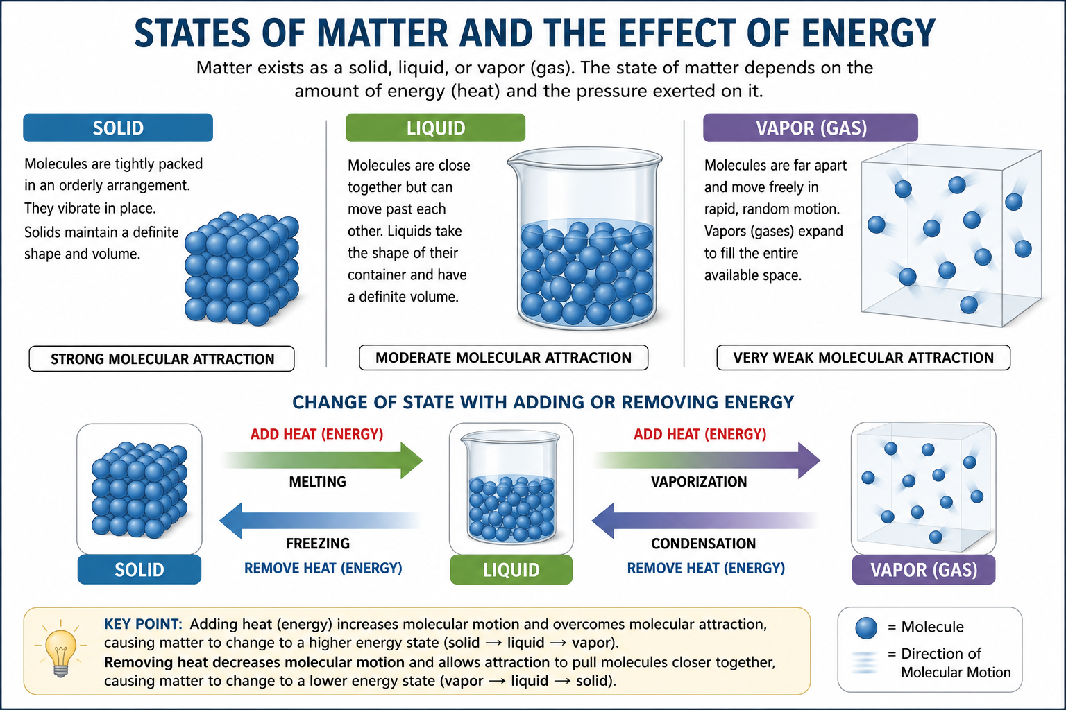 States of matter infographic showing solid, liquid, and vapor, molecular arrangement, and changes of state caused by adding or removing heat energy.