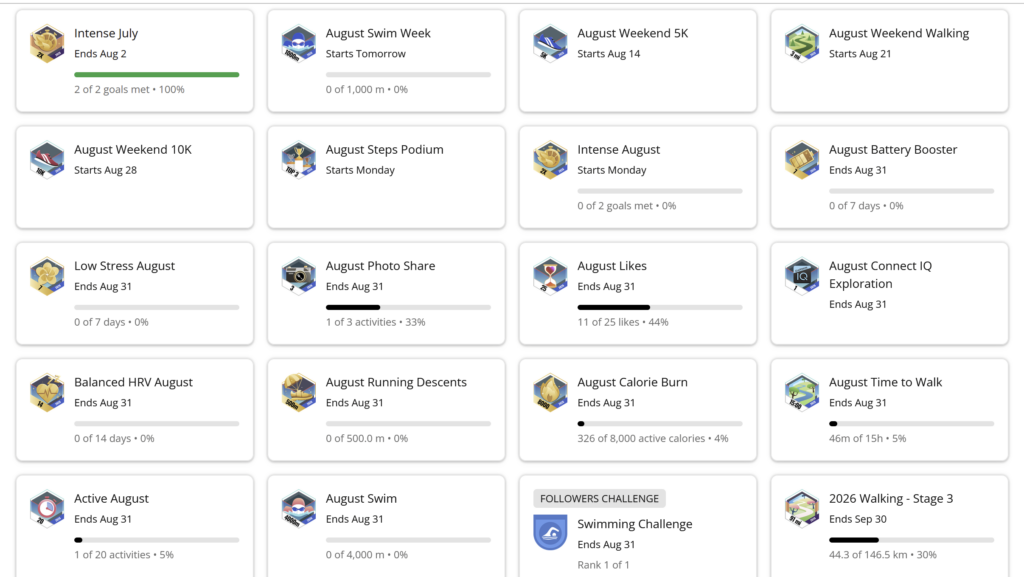 Screen capture of the August Garmin Connect Challenges.