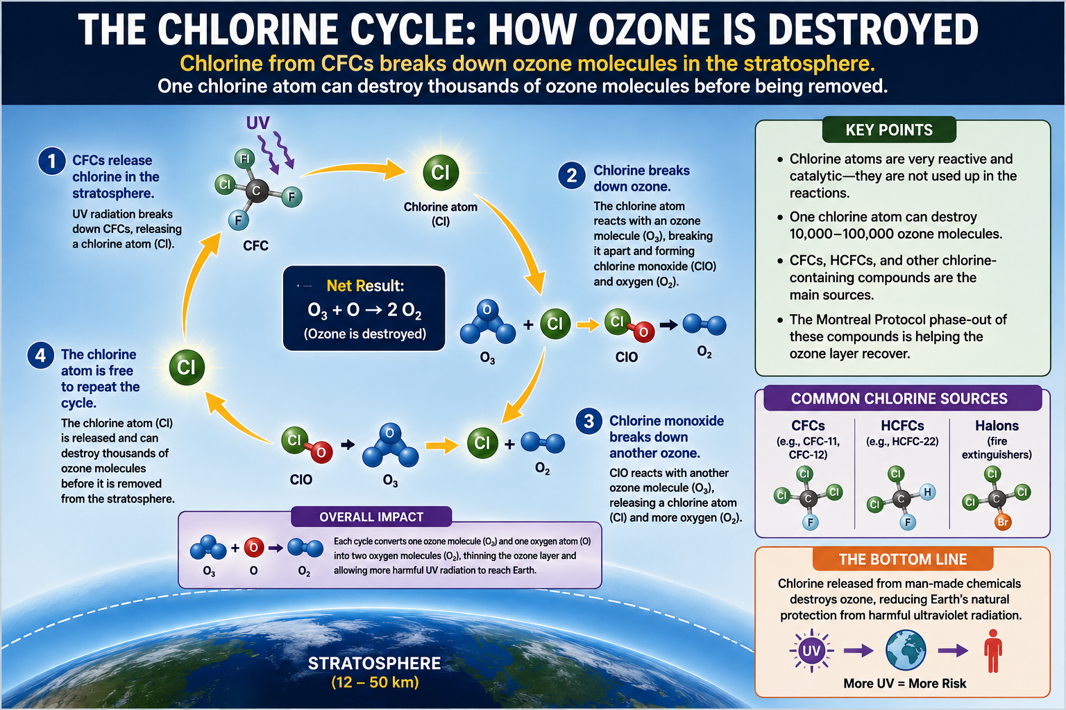 Diagram showing the catalytic cycle by which chlorine destroys ozone in the stratosphere